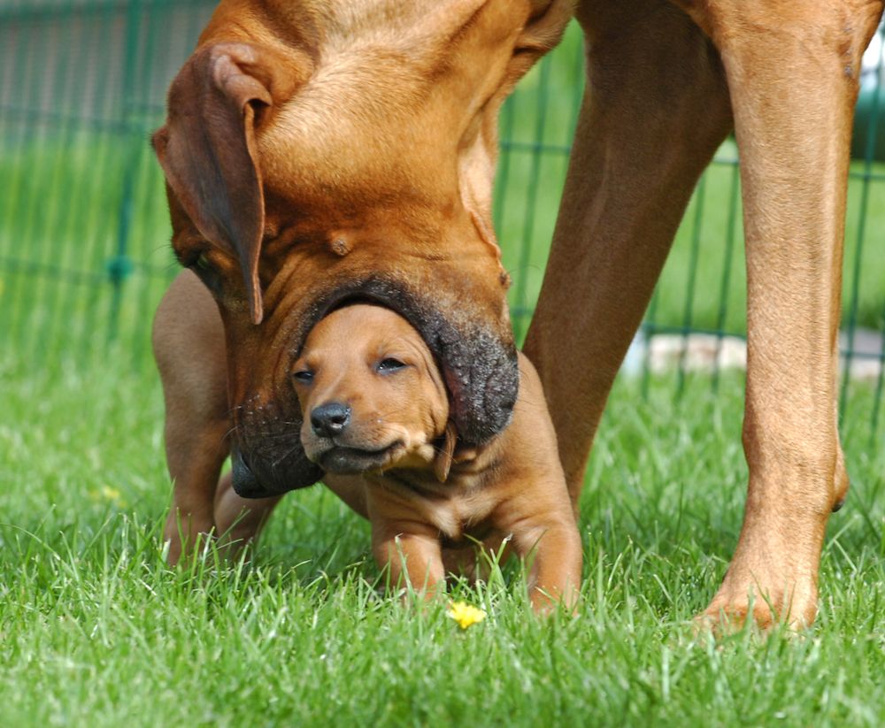 That Wasn’t a Good Move ...